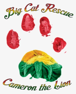 In Order To Offer A Wider Selection Of Merchandise, - Clothing #1164443