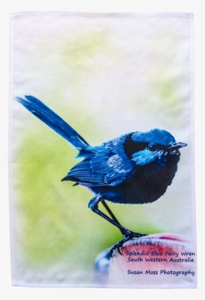 Towel Png #1164702