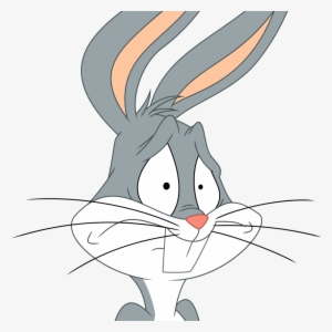Scared Rabbit Cartoon Png #1165082