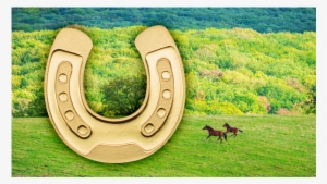 Golden Horseshoe, Cit Coin Invest Trust Ag / B - Gold #1165481