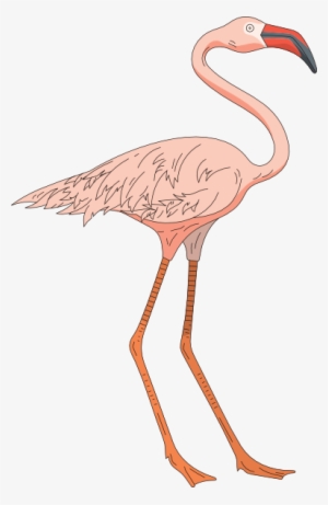 Pink Flamingo Clip Art Free Cliparts And Others Art - Flamingos #1165807