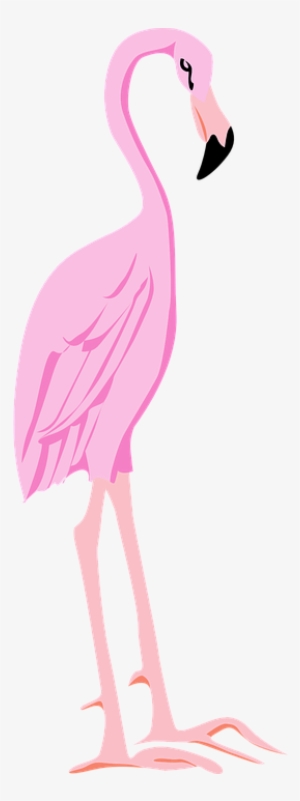 Flamingo Clipart Pink Thing - Flamingos #1166061 Flamingo Clipart Pink Thing - Flamingos #1166061