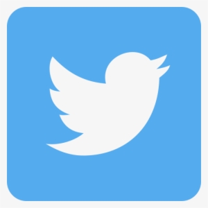 Icono Oficial De Twitter - Png Format Twitter Logo Transparent Png #1166843