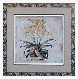 Aloe Vera I Picture - Motif #1167473