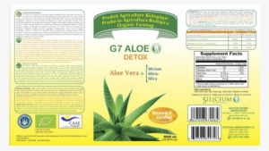More Views - Silicium - G7 Aloe Detox - 33.85 Oz. 1000 Ml #1167575