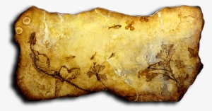 Basking In Time - Exposures International Gallery #1167846