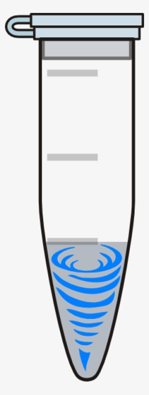 Original Png Clip Art File Vortex Tube Svg Images Downloading #1167920
