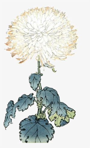 Elegante Y Luz De Color Pintado A Mano Elementos Ornamentales - Flower #1168056