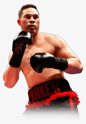 Svg Royalty Free Stock Fighter Clipart Professional - Photography #1169201