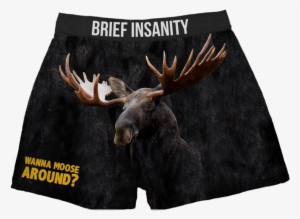 Moose Boxer Shorts Wanna Moose Around - Elche 2018, Elche 2018 (buch) Kalender #1169338