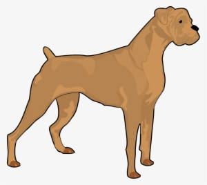 How To Set Use Boxer Clipart #1169410