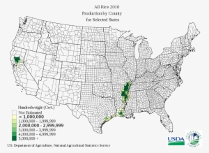 Rice Production In The United States Map Of Tomato - Spring Wheat North Dakota #1169429
