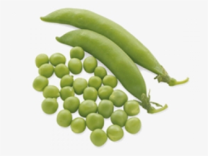 Vegetable #1169530