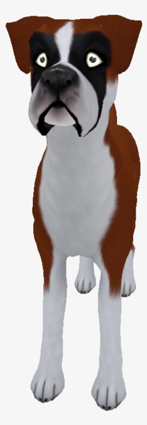 Boxer Standard Red - Boxer #1169545