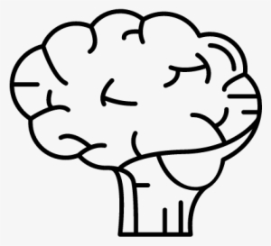 Human Brain Vector - Medicine #1170018