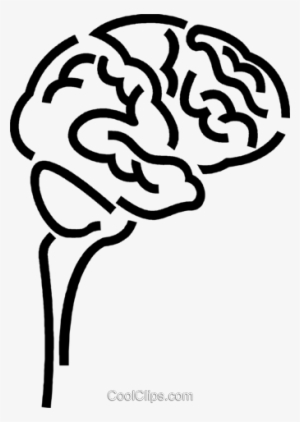Human Brain Royalty Free Vector Clip Art Illustration - Cerebro Png Vector #1170083