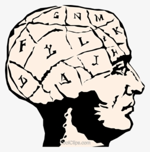 Human Brain Royalty Free Vector Clip Art Illustration - Brain Clipart #1170157