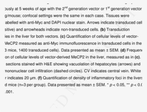 Direct Brain Delivery Of 2 Nd Generation Vector To - Number #1170262