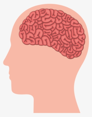 Working Vector Human Brain Svg Transparent - Human Brain #1170326