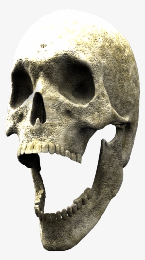 Here Is The 3d Skull To Finish Your Composite - Skull #1172209