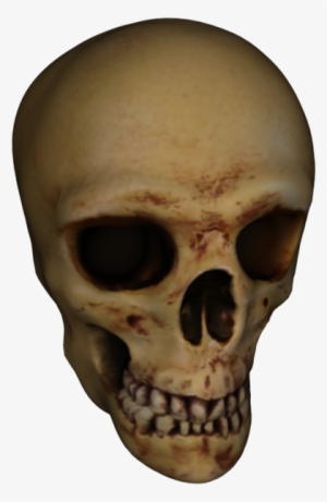 Skull #1172254