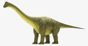 Brontosaurus Apatosaurus 3d Model - Brontosaurus #1172396