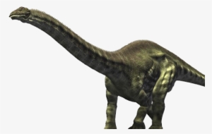 4834292 Orig Brontosaurus - Brontosaurus Transparent #1172475