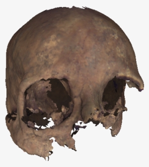 Skull , A Png Image - Transparent Skull Face #1172617