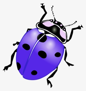 Ladybug Clipart Purple - Ladybird Black And White #1173580