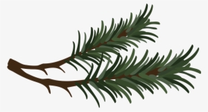 Branch Vector Pine Needle - Pine Needle Clipart #1173889