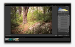 To Achieve This Result You'll Want To Once Again Add - Invert Radial Filter In Lightroom #1173950