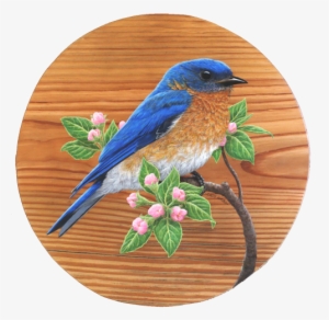 Heart Pine Reclaimed From The Original Academy Theater - Eastern Bluebird #1174023