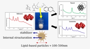 Figure 1 - Surfactant Phase Diagram #1174043