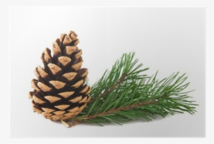 South Of South Neighborhood Association #1174183