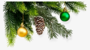 Parent Directory - Елка И Мандарины Пнг #1174198