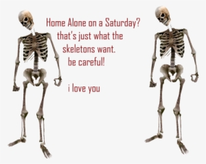 Home Alone On A Saturday That's Just What The Skeletons - Skeleton I ...