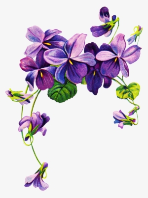 Violets Vintage Clipart - Purple Flower Border Png #1178932 Violets Vintage Clipart - Purple Flower Border Png #1178932