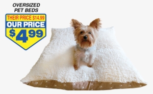 Pets 1 #1179223