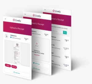 Images Of Example Receipts In Lively Dashboard - Document #1179646