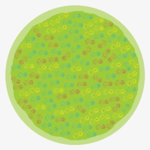 Flowers Round Placemat - Fc Steaua București #1180523