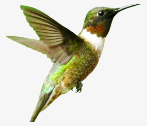 Portable Network Graphics #1180896