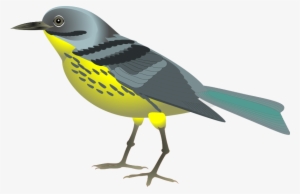 Bird Graphics Clip Art - Animal And Birds Png #1181093