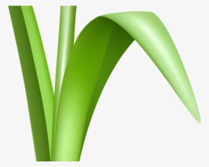 Free Flower Clipart Transparent Background Free Download - Portable Network Graphics #1181132