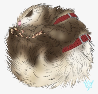 Drew One Of My Favorites Photos Of My Ferret, Discord - Hamster #1183318