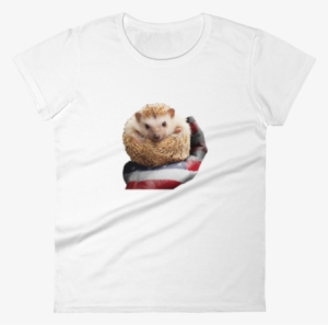 4th Of July Special Hedgehog T-shirt - T-shirt #1184079