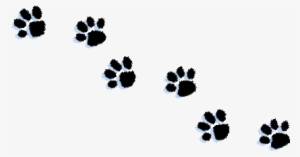 Tattoopins Comcopyright 2011 Petbath America - Paw #1184653