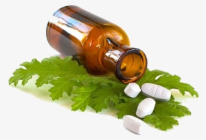 Herbal Medicine - Plant Medicine Market Size #1184679