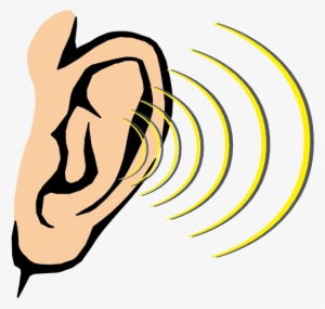 This Special Youth Submission Was Originally A Speech - Dibujo Sentido Del Oido #1185467