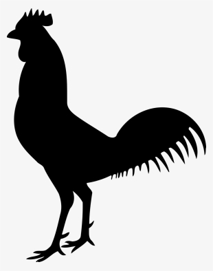 Cock Silhouette #1186855