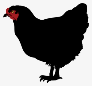Chicken Silhouette Clip Art - Chicken #1186992